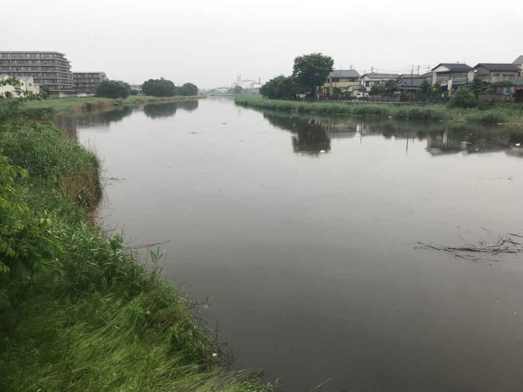 古 利根川 水位