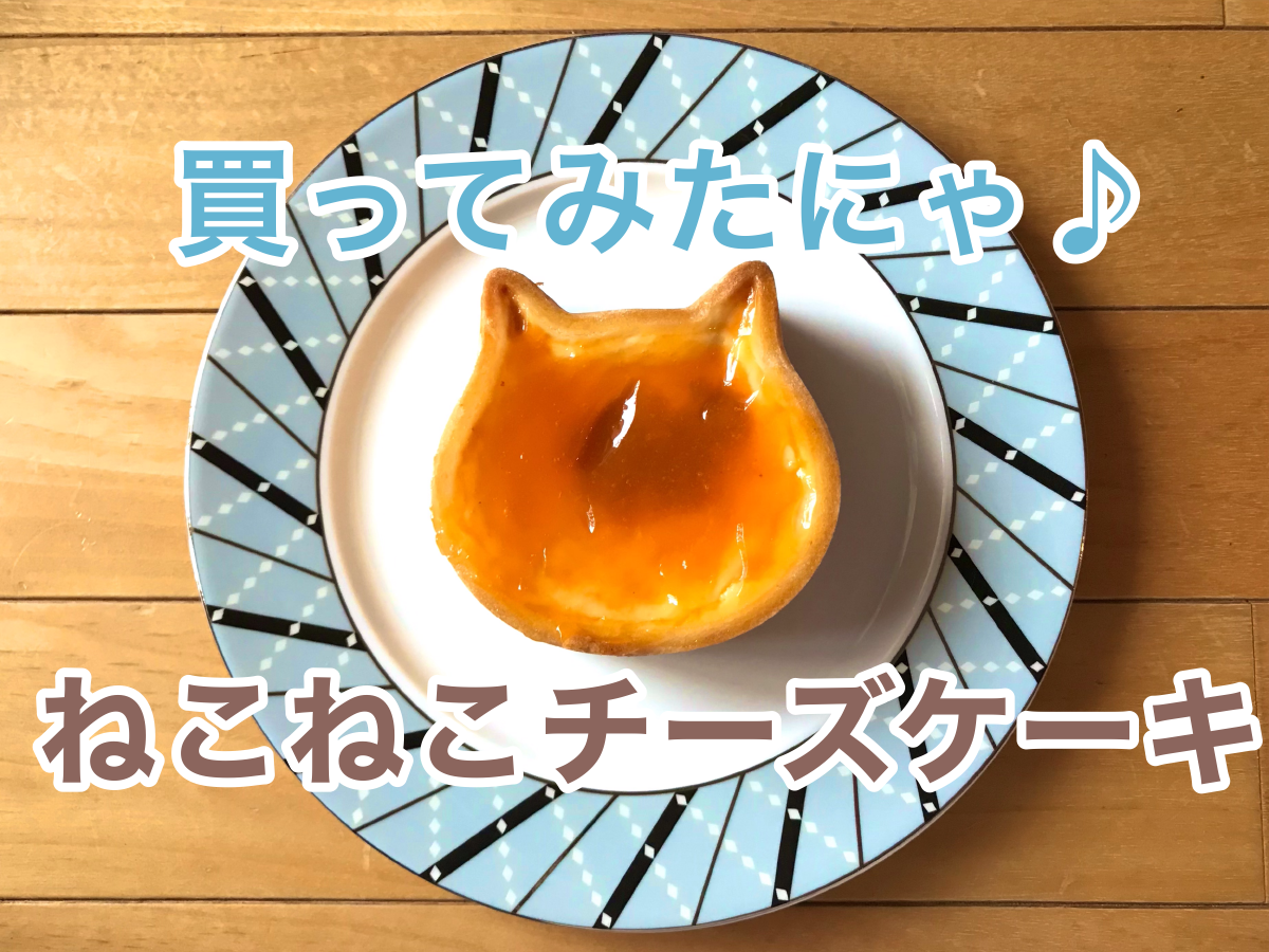 春日部市 売り切れ必至 ねこねこチーズケーキ イオンモール春日部で買ってみたにゃ 気になるサイズは 号外net 春日部市