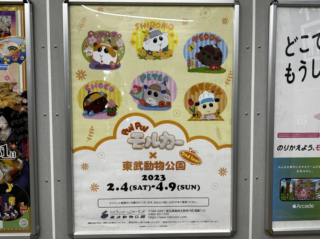 PUI PUI モルカー×東武動物公園コラボ