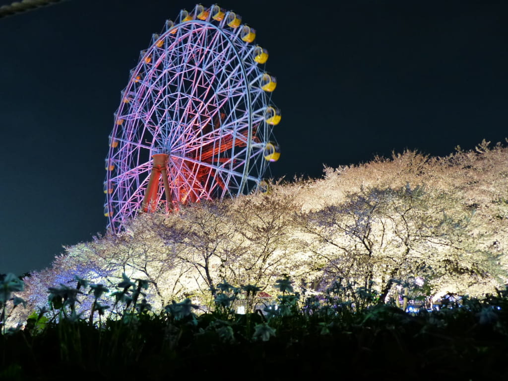 東武動物公園 春のナイトzoo