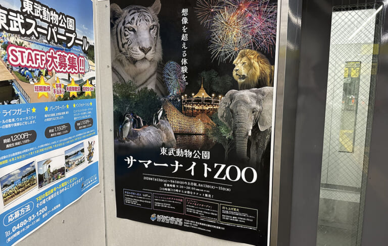 東武動物公園 サマーナイトzoo