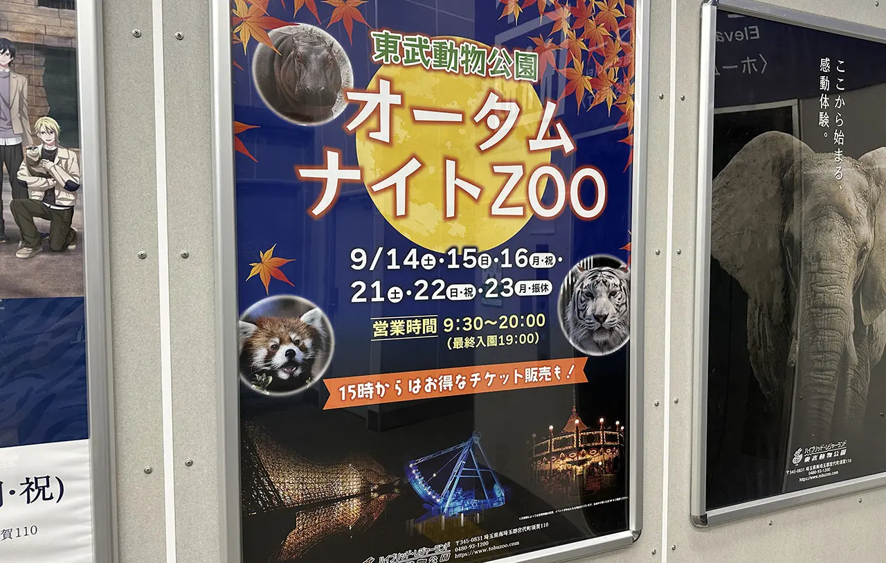 東武動物公園 オータムナイトZOO