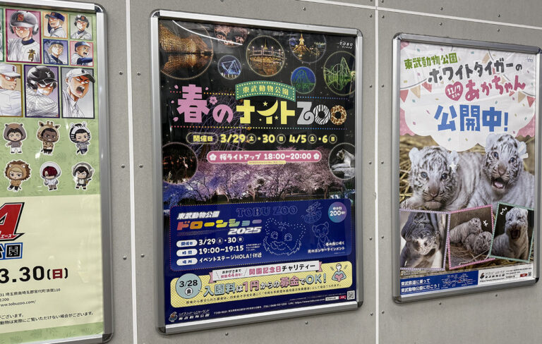 【春日部市周辺】東武動物公園で春のナイトZOO開催！幻想的な夜の動物園を楽しもう | 号外NET 春日部市