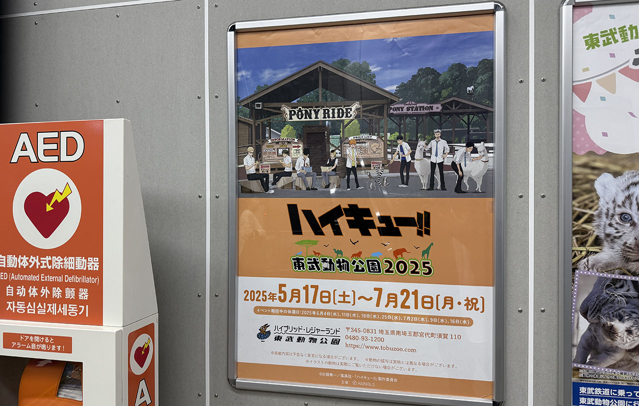 東武動物公園 ハイキューコラボ