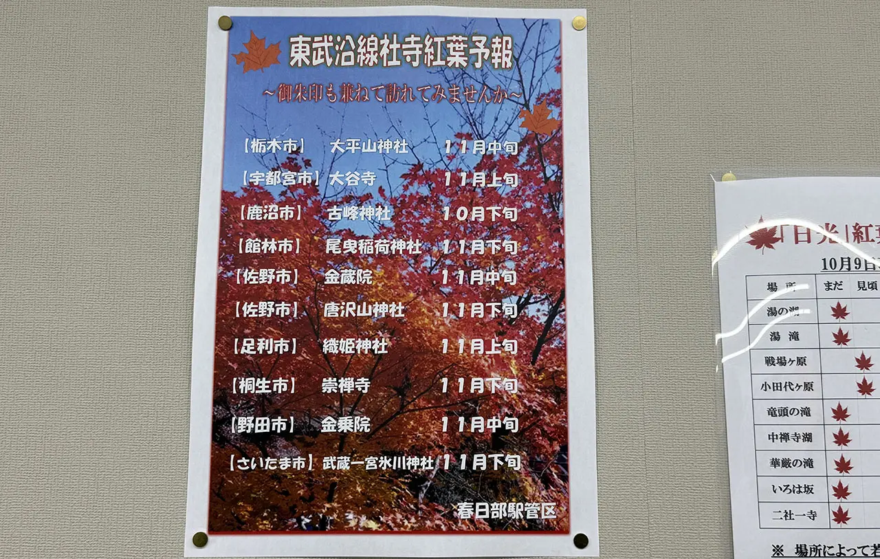 東武沿線社寺紅葉予報