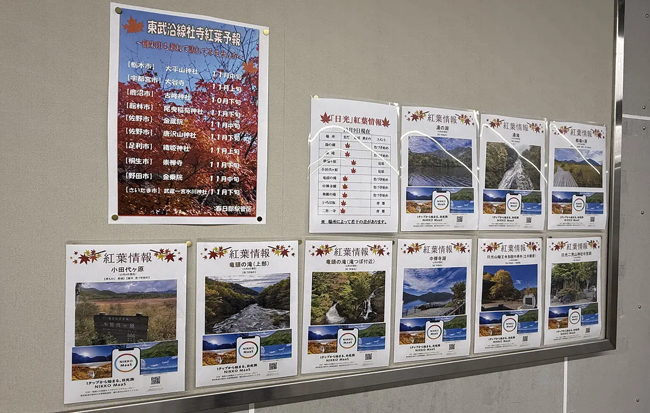 東武沿線社寺紅葉予報