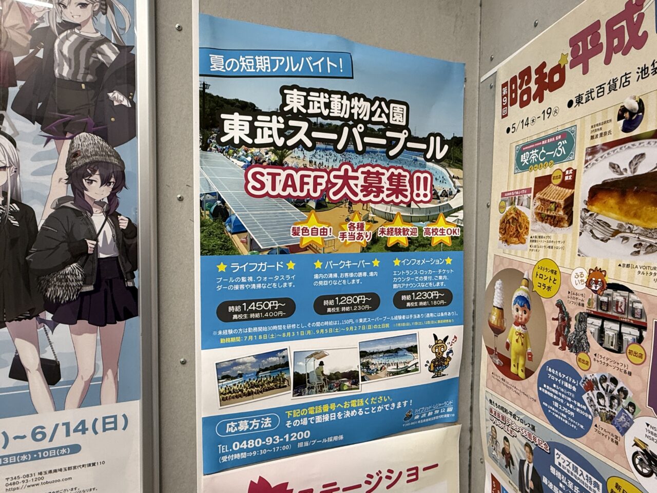 東武動物公園「東武スーパープール」アルバイト募集中