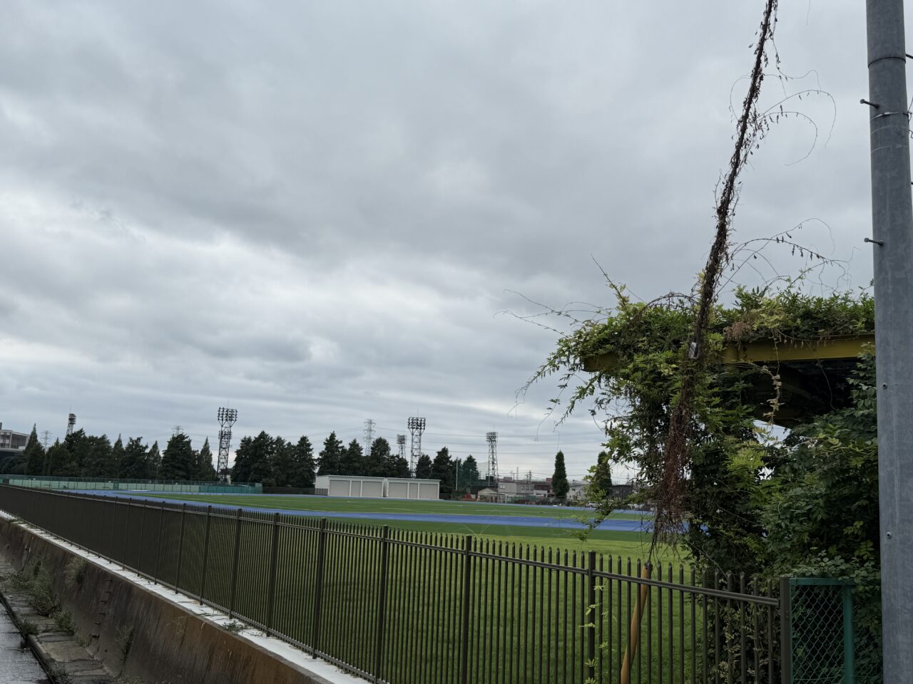 大沼陸上競技場 8月の様子